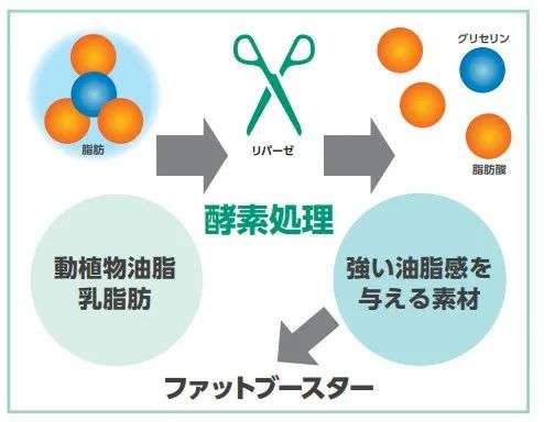 透過日本食品機(jī)械原輔料大賞，看底層技術(shù)如何推動產(chǎn)業(yè)前行